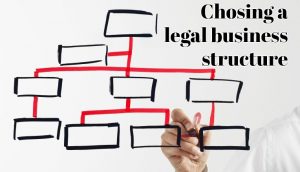 how to chose legal business structure for portable toilet company